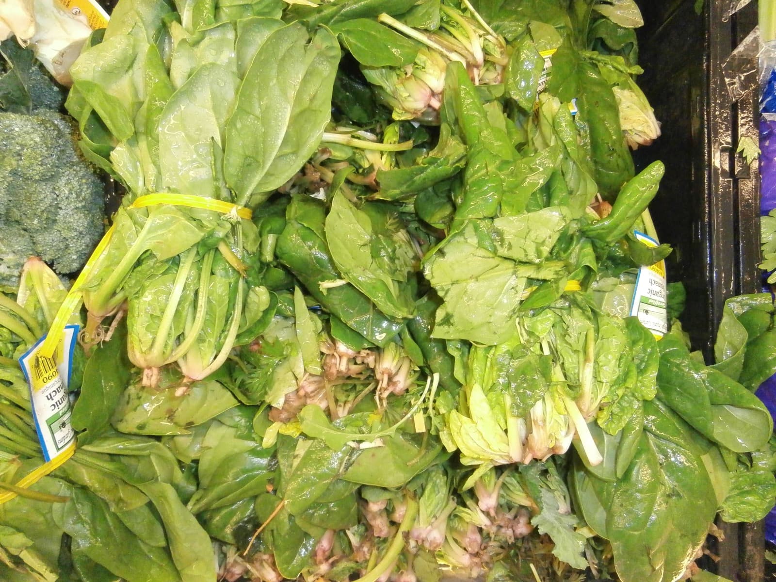 Fresh Spinach Bunches