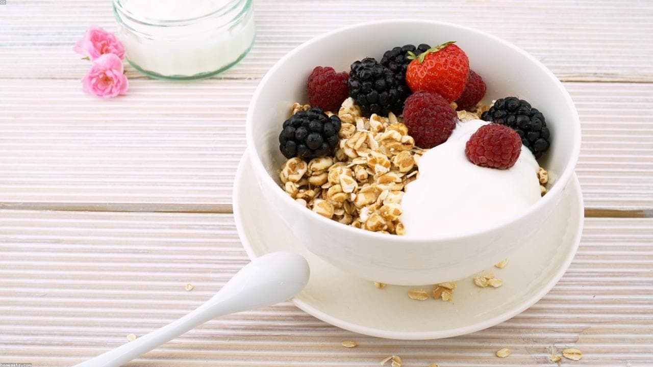 Sheep yogurt